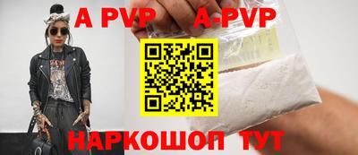индика Гай
