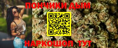 амф Гатчина