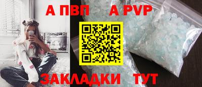 индика Гай